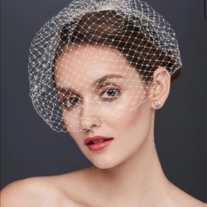 David’s Bridal Blusher Veil